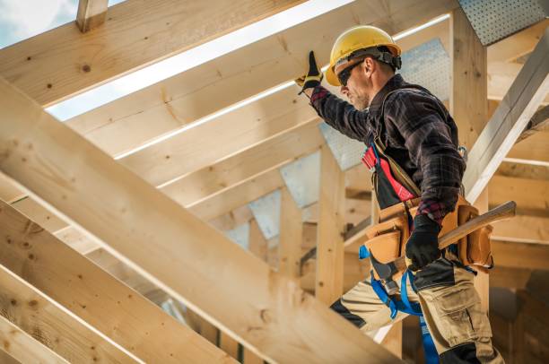 Best Roof Gutter Cleaning  in Riverton, IL