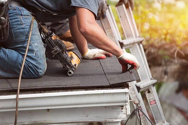 Best Roof Gutter Cleaning  in Riverton, IL